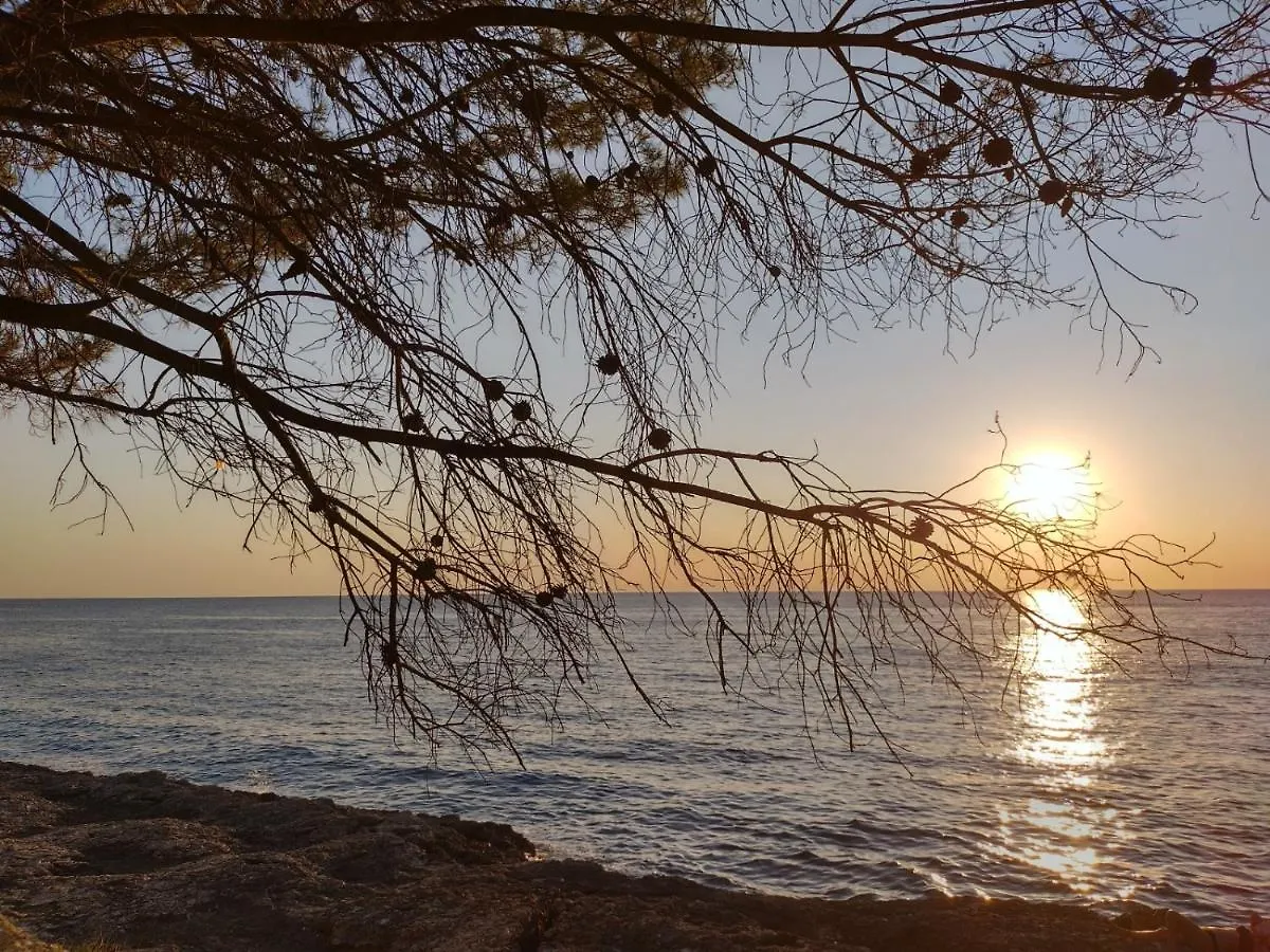 Apartment Villa Kadinela, 200M From Kamenjak, Huge Quiet Garden With Barbecue, 2 New Kitchens Premantura