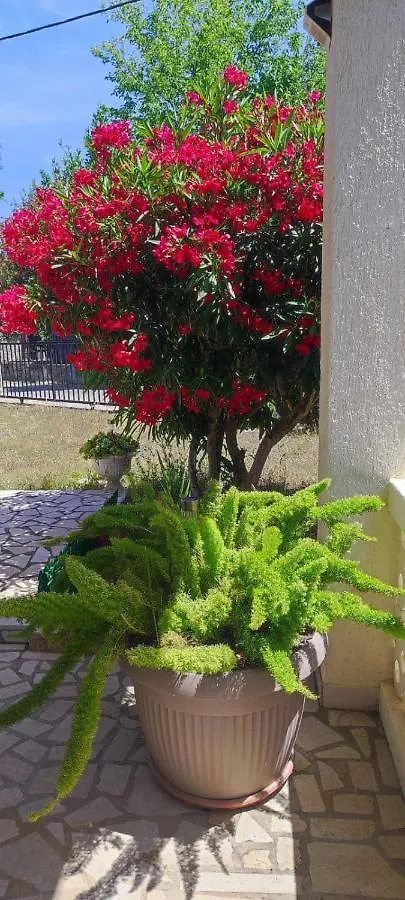 Villa Kadinela, 200M From Kamenjak, Huge Quiet Garden With Barbecue, 2 New Kitchens Premantura 0*,  Croatia