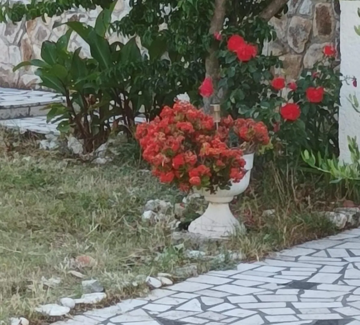 Apartment Villa Kadinela, 200M From Kamenjak, Huge Quiet Garden With Barbecue, 2 New Kitchens Premantura
